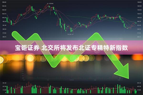 宝钜证券 北交所将发布北证专精特新指数