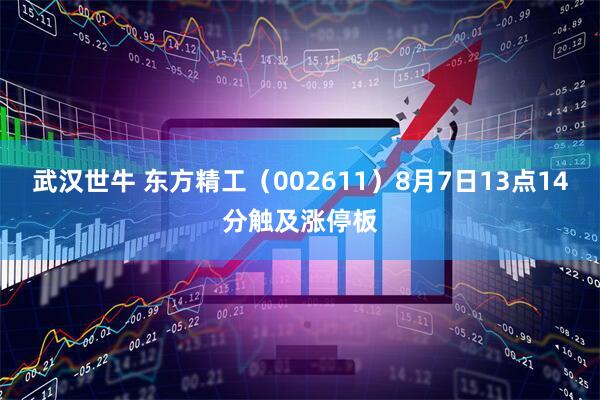 武汉世牛 东方精工（002611）8月7日13点14分触及涨停板